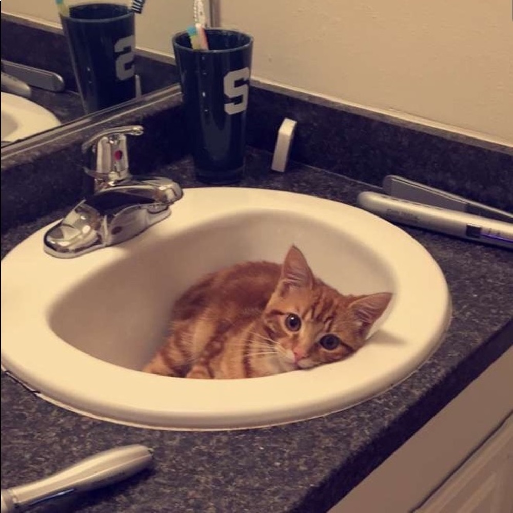 Meet your Posher, Nicki